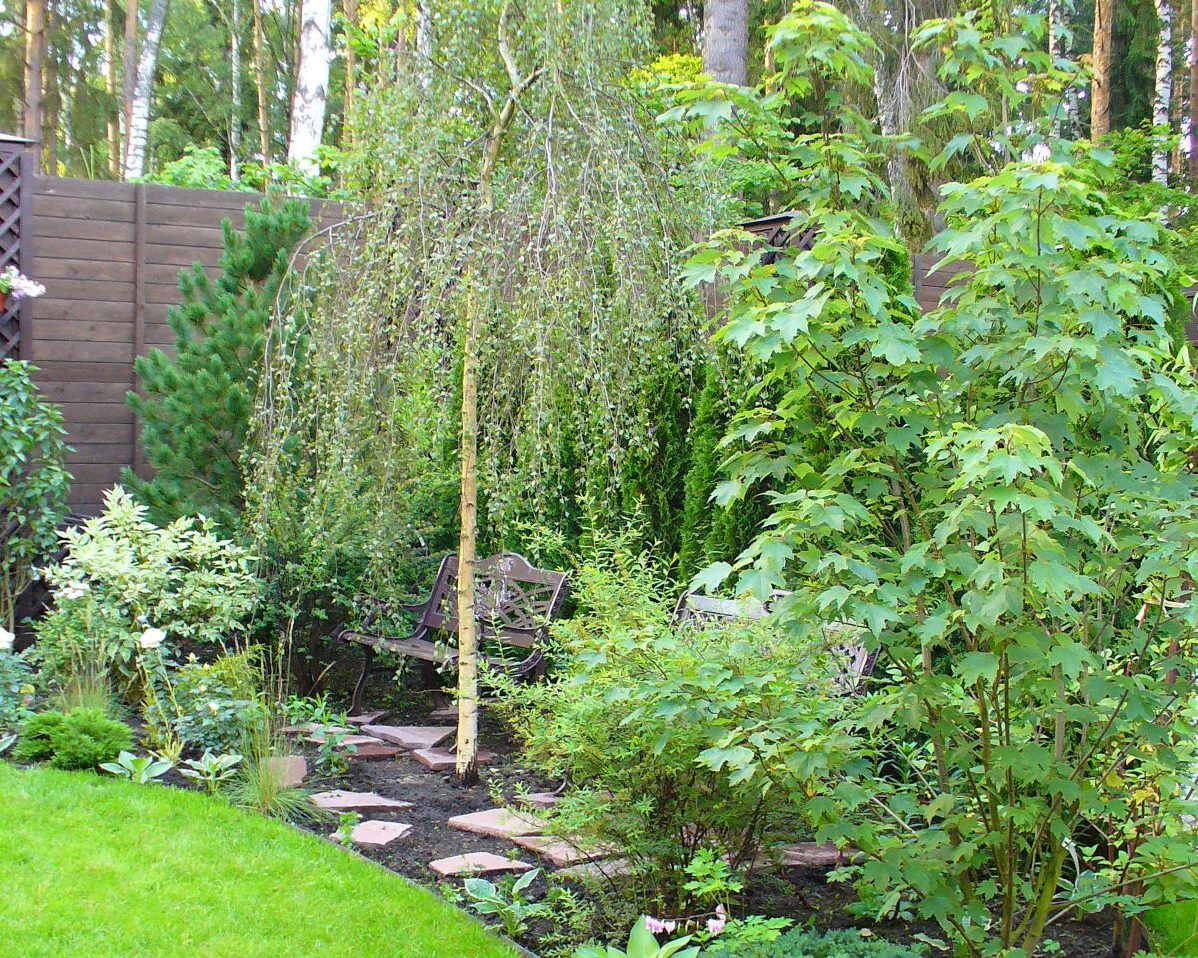 Проект Жуковка